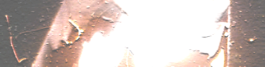 ���[�g�A�C�A���ɂ��āA����s��