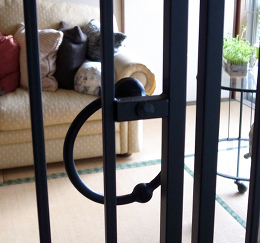 ���[�g�A�C�A���@�Α���@���x�b�g�ڍ�