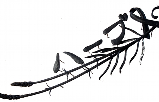 ���[�g�A�C�A���ŔA���x���_�[�A�b���Ŕ�