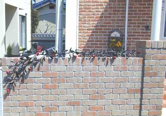 �A�C�A���A�I���W�i���G�N�X�e���A�A�o��