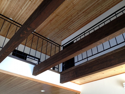 ���[�g�A�C�A���萠�A�������������A�Α���A���r���O���